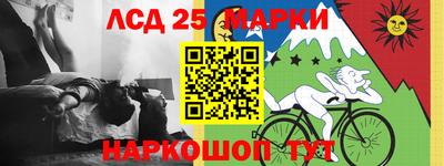 кокс Гатчина