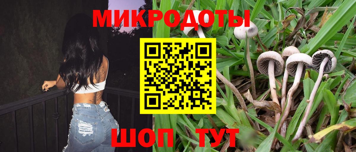 Галлюциногенные грибы GOLDEN TEACHER Гусь-Хрустальный