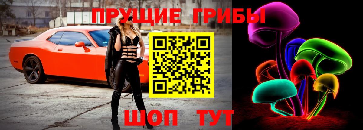 МЕФ Гусь-Хрустальный